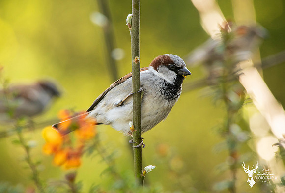 279A5389