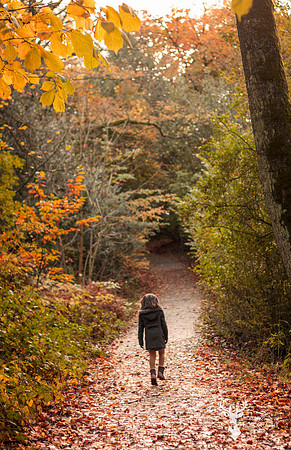 Autumn shoot  (1)