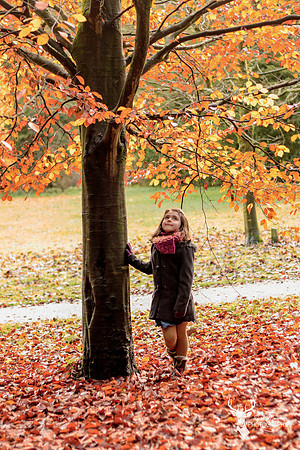 Autumn shoot  (2)
