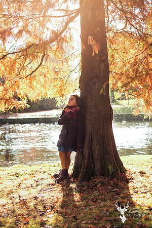 Autumn shoot  (4)