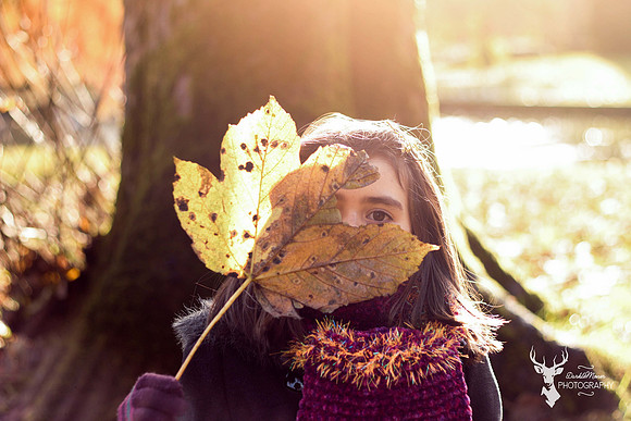 Autumn shoot  (6)