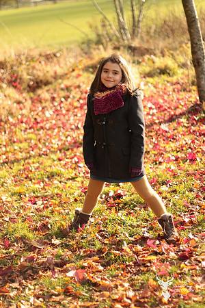Autumn shoot  (8)