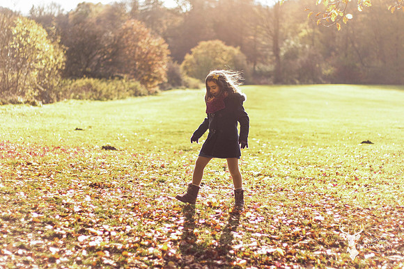 Autumn shoot  (9)